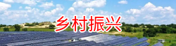 鄉(xiāng)村振興